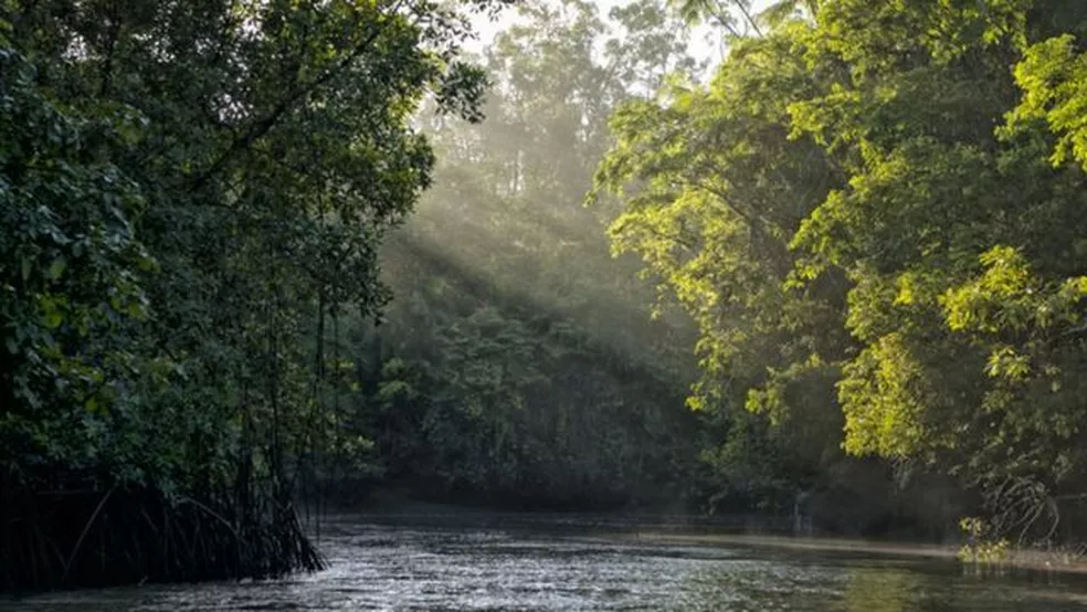 Ratanabá: arqueólogo explica por que lenda de ‘cidade perdida na Amazônia’ não faz sentido