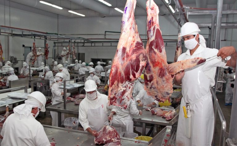 En 60 días se espera informe de auditoría para permitir exportaciones de carne bovina paraguaya a México