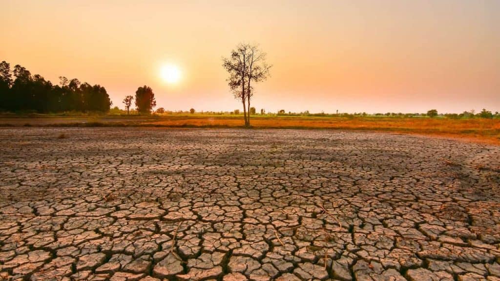 El Niño e La Niña eram ainda mais intensos no passado, revela estudo