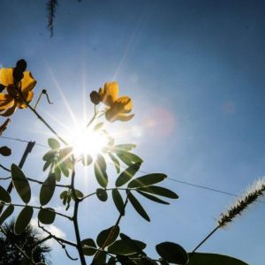 Anuncian día cálido a caluroso para este martes