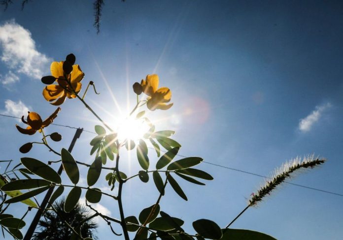 Anuncian día cálido a caluroso para este martes