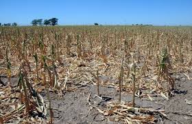 “La Niña” ya está aquí y amenaza a Latinoamérica, advierten expertos