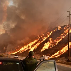 Novos incêndios voltam a atingir Los Angeles; 31 mil pessoas evacuadas