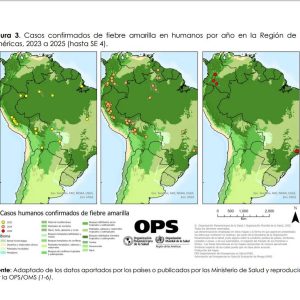 Alerta regional de la OPS ante el aumento de casos de fiebre amarilla