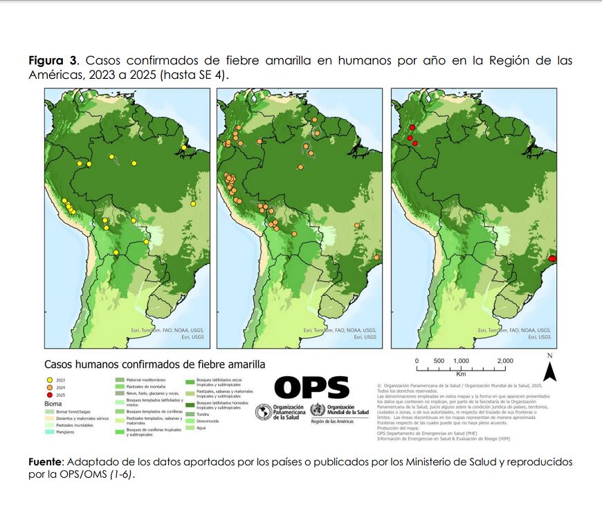 Alerta regional de la OPS ante el aumento de casos de fiebre amarilla