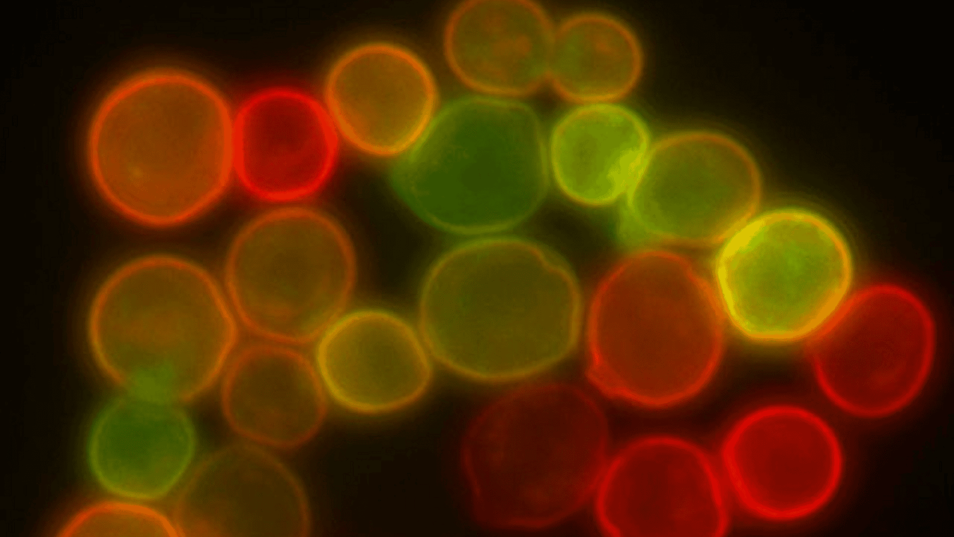 Histórico: cientistas dão passo importante para criar vida em laboratório