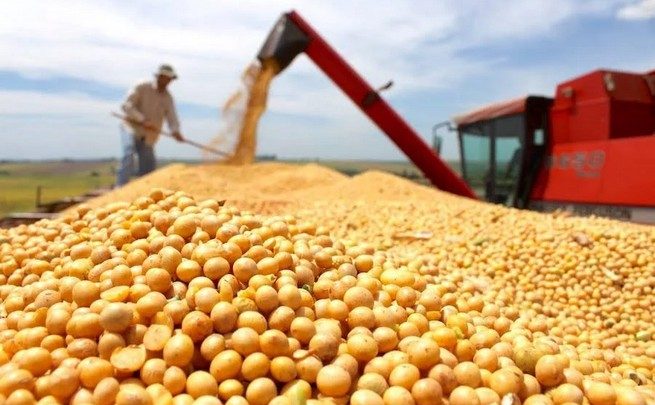 Actividad económica crece 5,6% en junio y acumula igual expansión en el primer semestre