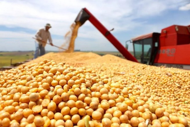Actividad económica crece 5,6% en junio y acumula igual expansión en el primer semestre
