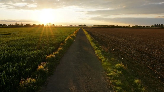 Paraguay puede alcanzar su potencial productivo si mejora la infraestructura
