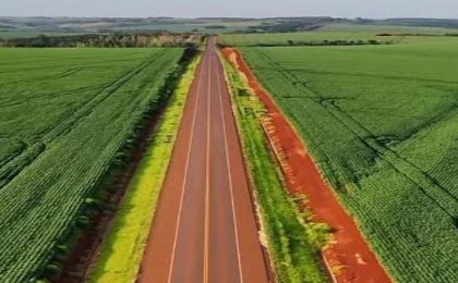 Alto Paraná, corazón agrícola de Paraguay con producción, industria y logística exportadora