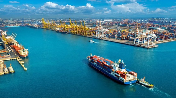 Exportaciones bajo certificado de Origen crecen 34% en julio y superan los USD 1.000 millones, impulsadas por el sector agrícola