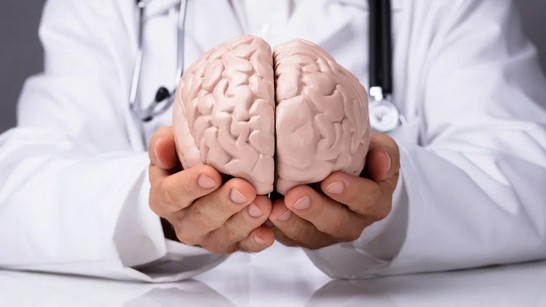 Longevidade cognitiva: como a alimentação influencia a saúde cerebral
