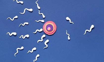 10 formas de melhorar a qualidade do esperma naturalmente