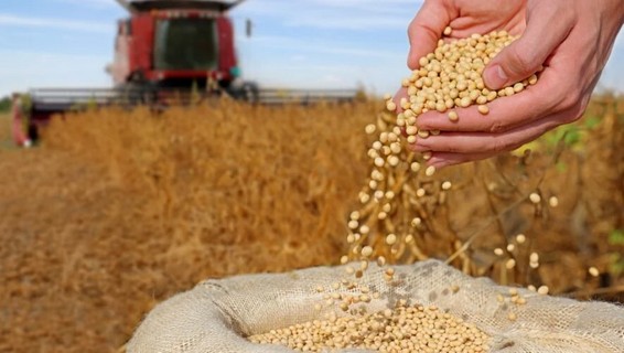 Exportaciones del complejo de la soja crecen 40% y superan los USD 3.500 millones en 2026