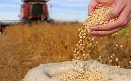 Exportaciones del complejo de la soja crecen 40% y superan los USD 3.500 millones en 2026