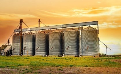Brasil amplia diversidade de insumos para rações