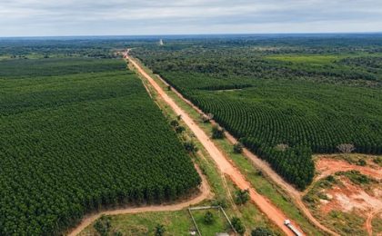 Un nuevo paso para Paracel: el proyecto de carbono queda registrado y se aprueban 191.809 créditos