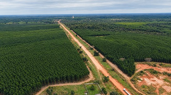 Un nuevo paso para Paracel: el proyecto de carbono queda registrado y se aprueban 191.809 créditos
