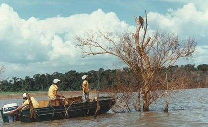 Mymba Kuéra: como foi o monumental resgate de mais de 30 mil animais durante a construção de Itaipu, entre o Brasil e o Paraguai