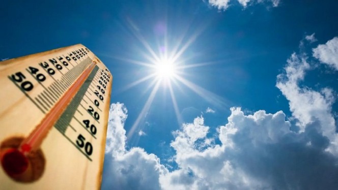 Ola de calor de fin de semana amenaza a sector agropecuario
