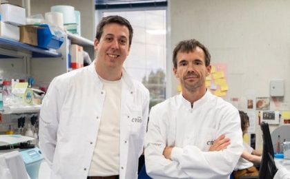 Descubren una vía para combatir la metástasis cerebral antes de que aparezcan los síntomas