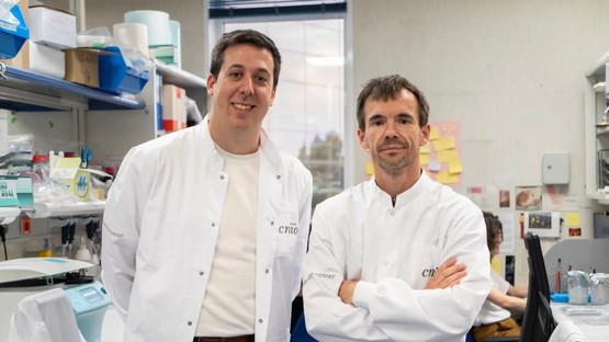Descubren una vía para combatir la metástasis cerebral antes de que aparezcan los síntomas