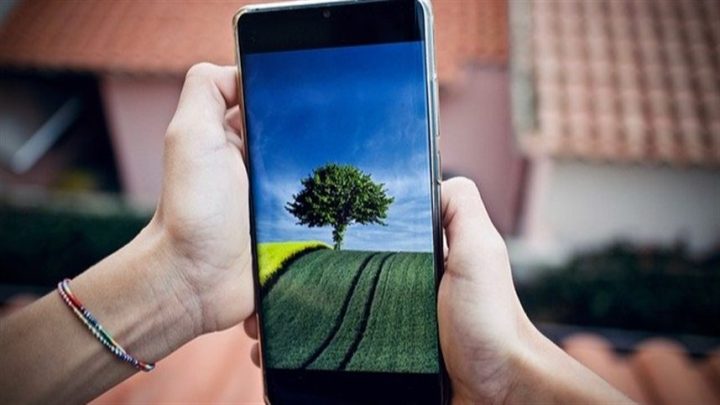 Nanotecnologia amplia possibilidades na agricultura