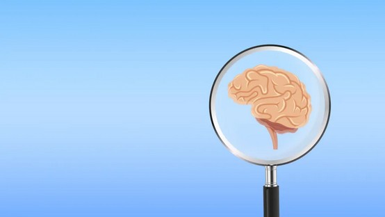 Neurologista alerta: Este é o pior hábito para a saúde do cérebro