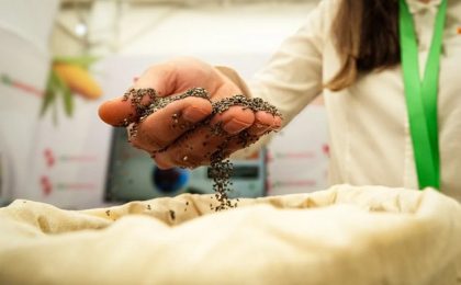 Paraguay apunta a hacer crecer su agricultura orgánica, sector que exportó por US$ 40 millones en 2025