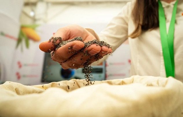 Paraguay apunta a hacer crecer su agricultura orgánica, sector que exportó por US$ 40 millones en 2025