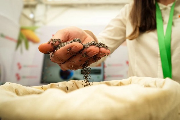 Paraguay apunta a hacer crecer su agricultura orgánica, sector que exportó por US$ 40 millones en 2025