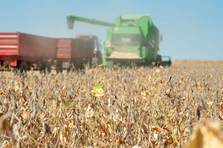 Paraguay exportó casi USD 16.000 millones al cierre de setiembre, con un crecimiento del 25,7%