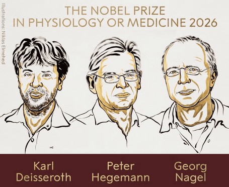 Prêmio Nobel da Medicina: como uma alga ajudou cientistas a criar um “interruptor” para o cérebro
