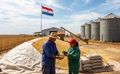 El Niño: Instan a controlar la conservación de los granos