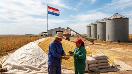 El Niño: Instan a controlar la conservación de los granos