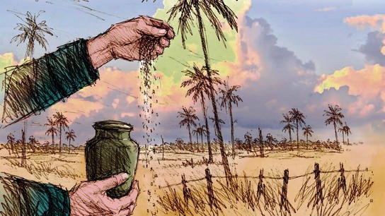 Tres historias sobre la patria, la memoria y el último regreso