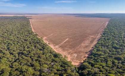Amazônia bate recorde histórico com menor taxa de desmatamento já registrada