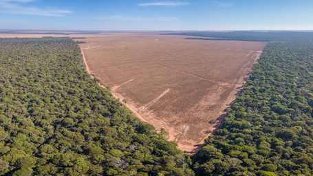Amazônia bate recorde histórico com menor taxa de desmatamento já registrada
